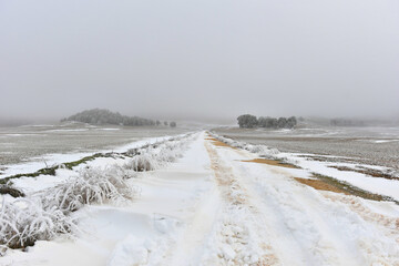 Camino 