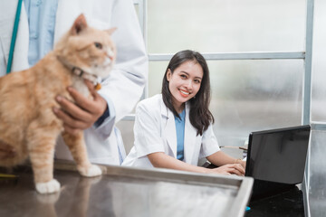 Smiling female vet when typing using laptop behind male vet examining cats at the vet clinic