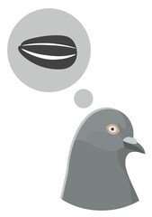 A gray dove dreams of a sunflower seed. The bird is thinking about food. Dove wants to eat grain.