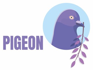 Pigeon hold twig with purple leaves in his beaks. Vector bird head in blue isolated on a white background. Dove cast a shadow.