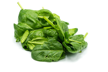Young spinach isolated on white background