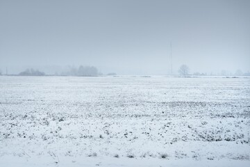 Snow-covered agricultural plowed field and forest under dramatic dark clouds before snowstorm....