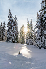 file name	Content		title	tags	uploaded at
