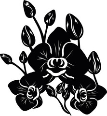 Black silhouette of orchid flowers. Floral design elements isolated on white background.