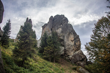 High Rock Between The Trees In The Background