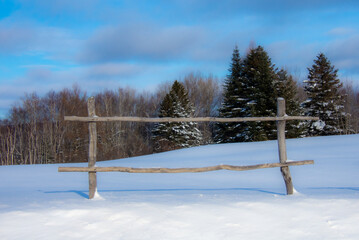 Winter landscape during a heavy snowfall