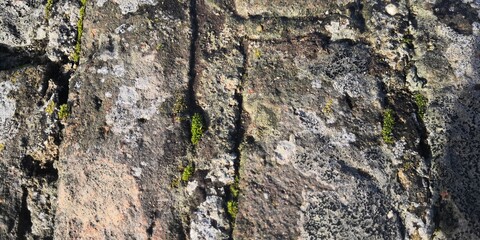 stone wall