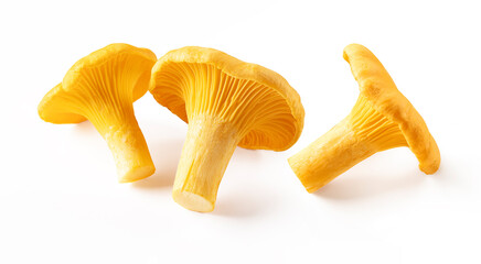 Raw fresh edible wild mushroom chanterelle isolated on white background © Koko Foto