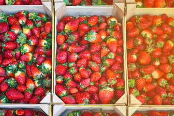 Freshly harvested red ripe strawberries in wooden boxes on the counter in farmer market at sunset