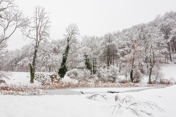 Arlesheim, Ermitage, See, Winter, Schnee, Schneedecke, Schneefall, Seeufer, Schilf, Wanderweg, Winterwanderung, Wald, Eis, Eisfläche, Baselland, Schweiz
