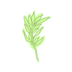 Green leaf on white background