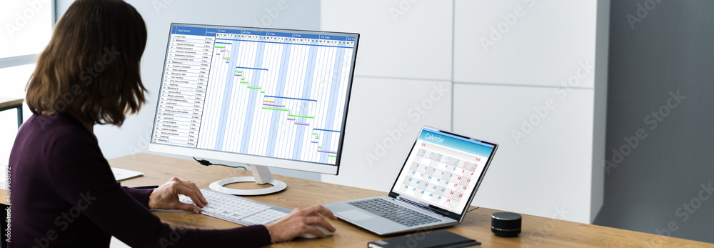 Poster businesswoman working on gantt chart using computer