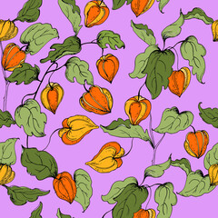 Seamless pattern with flowers and  leaves of physalis. Vector illustration