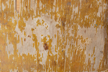 The texture of a tree with cracked varnish