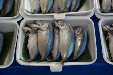 Fresh mackerel in a foam box Sold at a fresh market in Thailand.