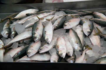 Fototapeta premium Fresh mackerel sold at a fresh market in Thailand..