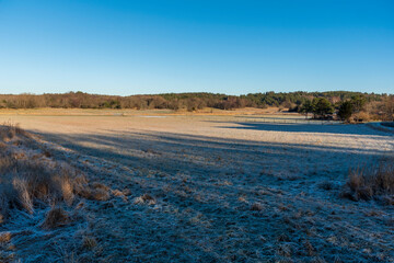 Fields in winter landscape