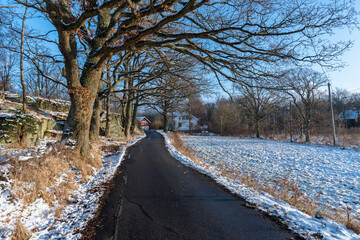 Path in Swedish winter