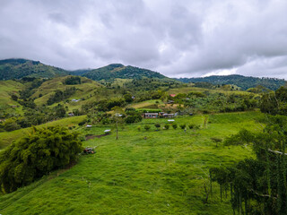 Fototapeta premium pasture in the mountains