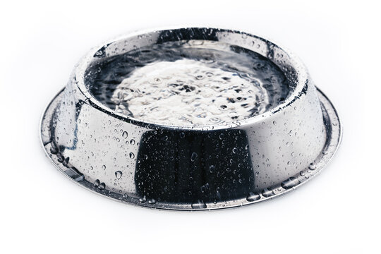 Close-up Of An Empty Iron Dog Bowl With A Drinking Water Isolated On White Background