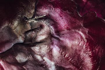 Purple abstract textured background of red cabbage