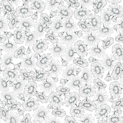 Flower Chamomile of Solar Plexus Chakra pattern grey lines