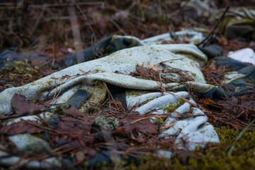 The fabric of clothes has been lying in the forest for a very long time and has turned green and covered with moss