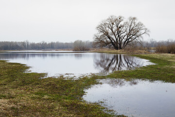 River in the autumn forest at sunset.