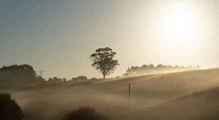 misty morning sunrise on a hill of Cantabria, Spain