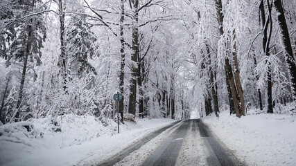 Waldstraße im Winter