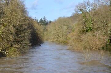 River in flood. La Maine. Château-Thébaud. France. 