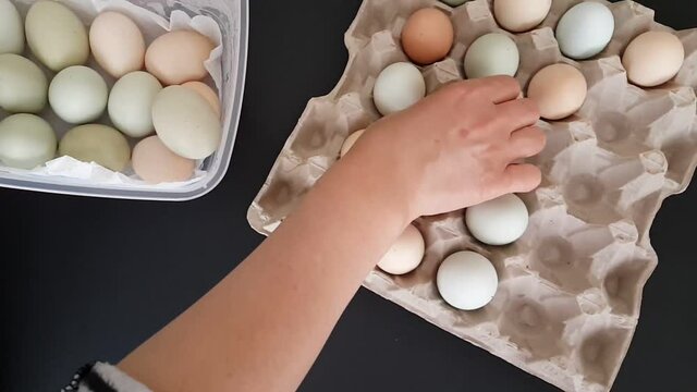 egg container