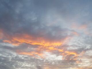 Beatu natur, sun and natur in the Hamburg.