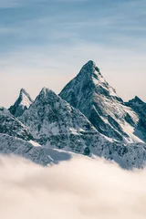 Foto op Plexiglas snow covered mountains © vincent