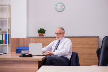 Old male employee working in the office