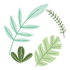 branches leaves foliage nature vegetation plant icons
