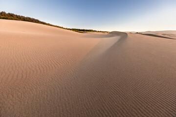 Sand dunes generating lines and patterns on the sandy ground. An awe natural pattern in a wild environment at the remote Topocalma beach. Amazing scenery for an idyllic place surrounded by a forest