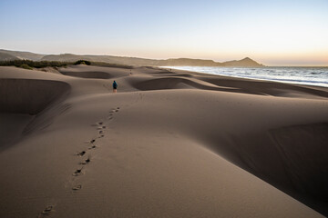 An amazing sea view during sunset time of an awe sandy beach full of sand dunes till the infinite. Idyllic natural landscape for going back to nature and enjoy the outdoors again