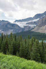 Canadian Rockies landscape with spruce trees, mountains and glaciers.