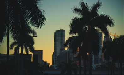 Fototapeta na wymiar city skyline at sunset Miami Florida 