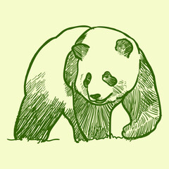 Vintage hand drawn  hello bear 