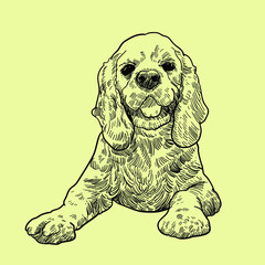 Vintage hand drawn dogs