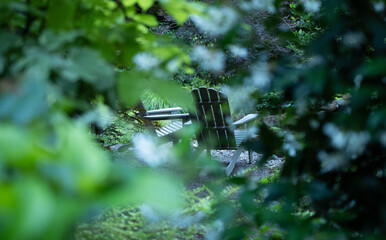 Adirondack chairs by a pond obscured by trees and foliage during a sunny spring or summer afternoon
