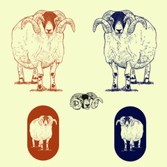 Vintage hand drawn goats