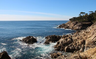 Point Lobos State Natural Reserve, California