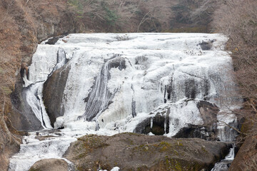 Fototapeta na wymiar 凍結した冬の袋田の滝