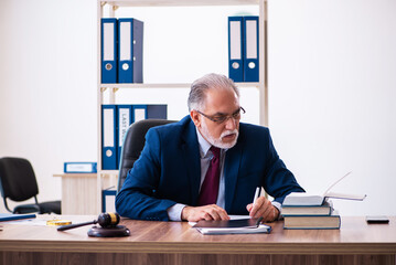 Experienced male judge sitting in the office