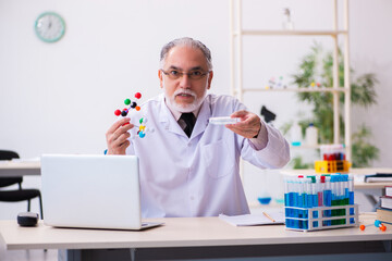 Old male scientist studying molecular model
