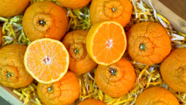 Dekopon orange or sumo mandarin tangerine and orange slices  with leaves in box packaging.