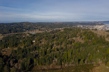 Fototapeta na wymiar Aerial of forest around Coos Bay, Oregon